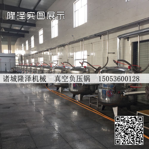 蓮子（zǐ）蜜棗瓜蜜餞（jiàn）真空浸糖鍋