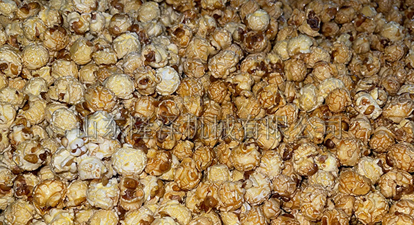 全自動爆（bào）米花機