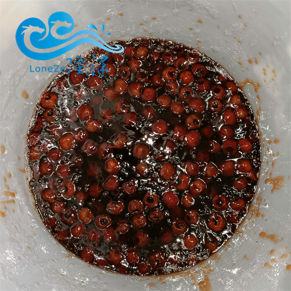 真空負（fù）壓浸糖鍋