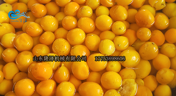 真空(kōng)浸糖鍋