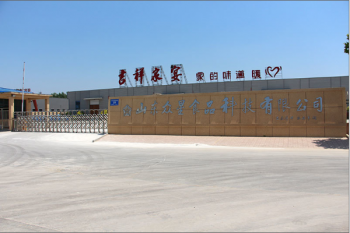 山東（dōng）眾星食品科（kē）技（jì）有限公司