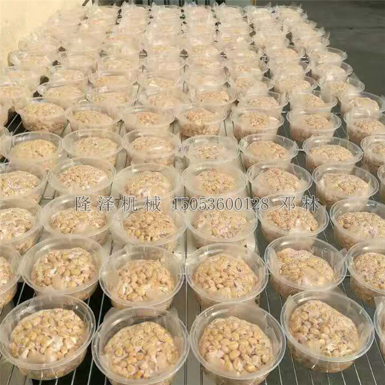 納（nà）豆煮鍋